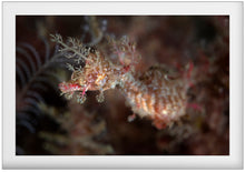 Charger l'image dans la galerie, Unicorn