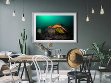 Load image into Gallery viewer, Dragon