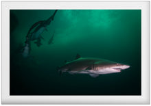 Load image into Gallery viewer, Green Army
