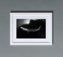 Carregar imagem no visualizador da galeria, Shiver
