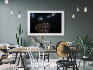 Kraken's Window