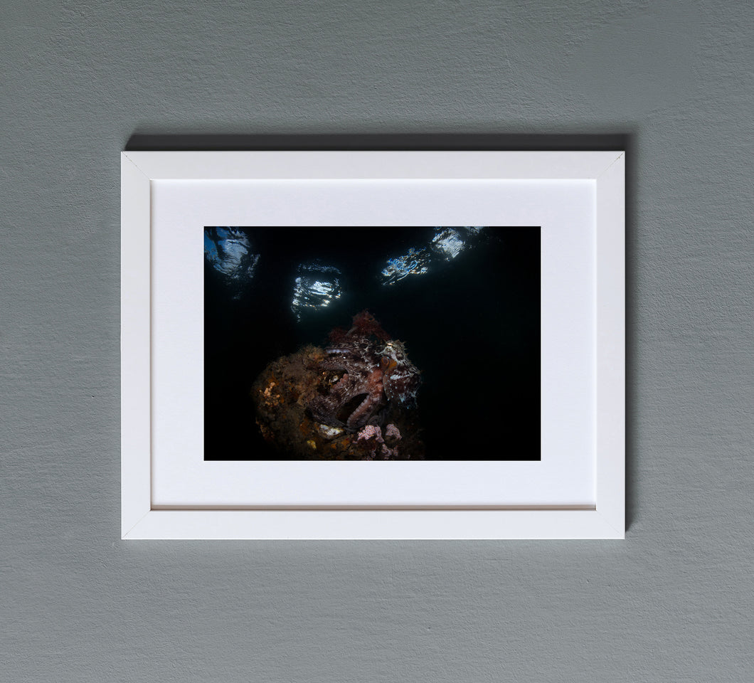 Kraken's Window