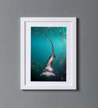 Load image into Gallery viewer, Chasing Tail
