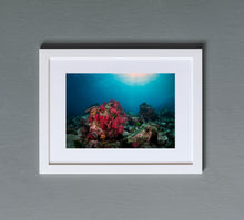 Load image into Gallery viewer, Solitary
