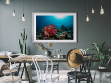 Load image into Gallery viewer, Solitary
