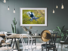 Load image into Gallery viewer, Drifters
