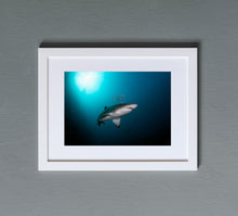 Load image into Gallery viewer, Halo
