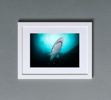 Load image into Gallery viewer, Jaws
