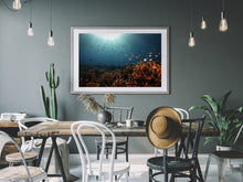 Load image into Gallery viewer, Melissa&#39;s Garden
