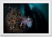 Load image into Gallery viewer, Kraken&#39;s Kingdom
