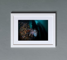 Load image into Gallery viewer, Kraken&#39;s Kingdom
