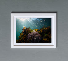 Load image into Gallery viewer, Shelly&#39;s Pearl
