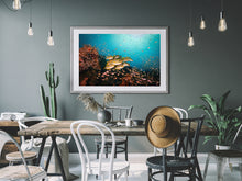 Load image into Gallery viewer, Oriental Mayhem
